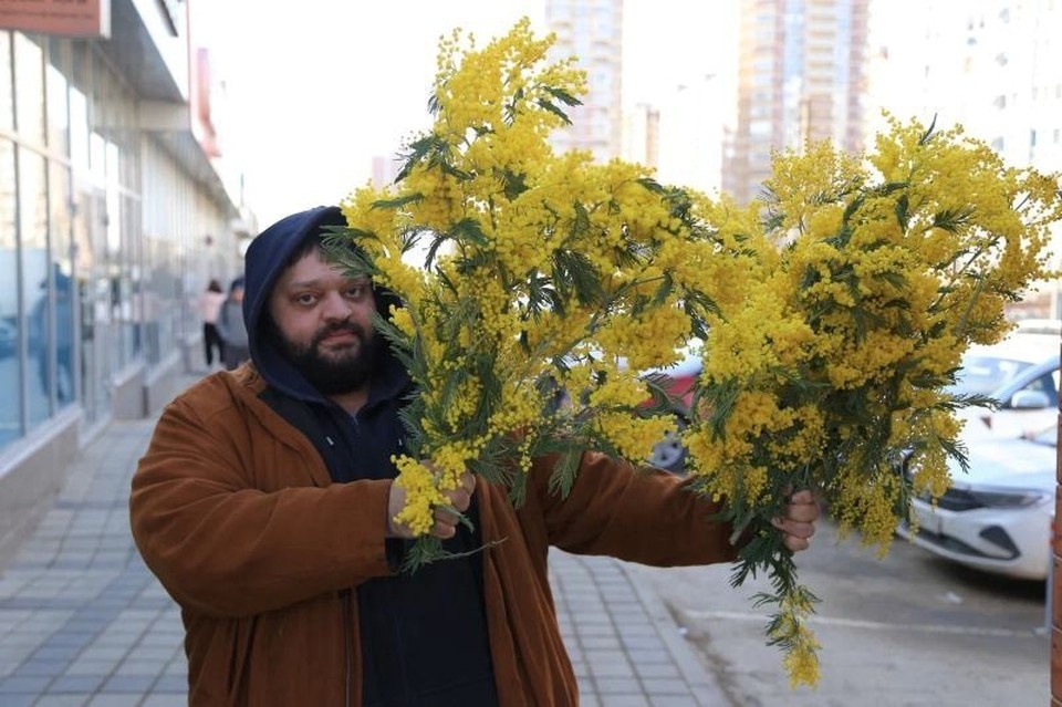    Тонны мимозы везут из Абхазии к празднику Сергей НАДЕЖДИН