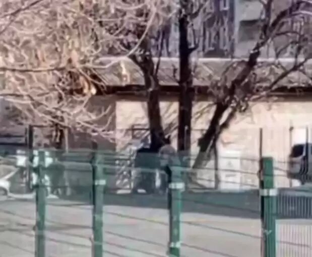    Источник фото: