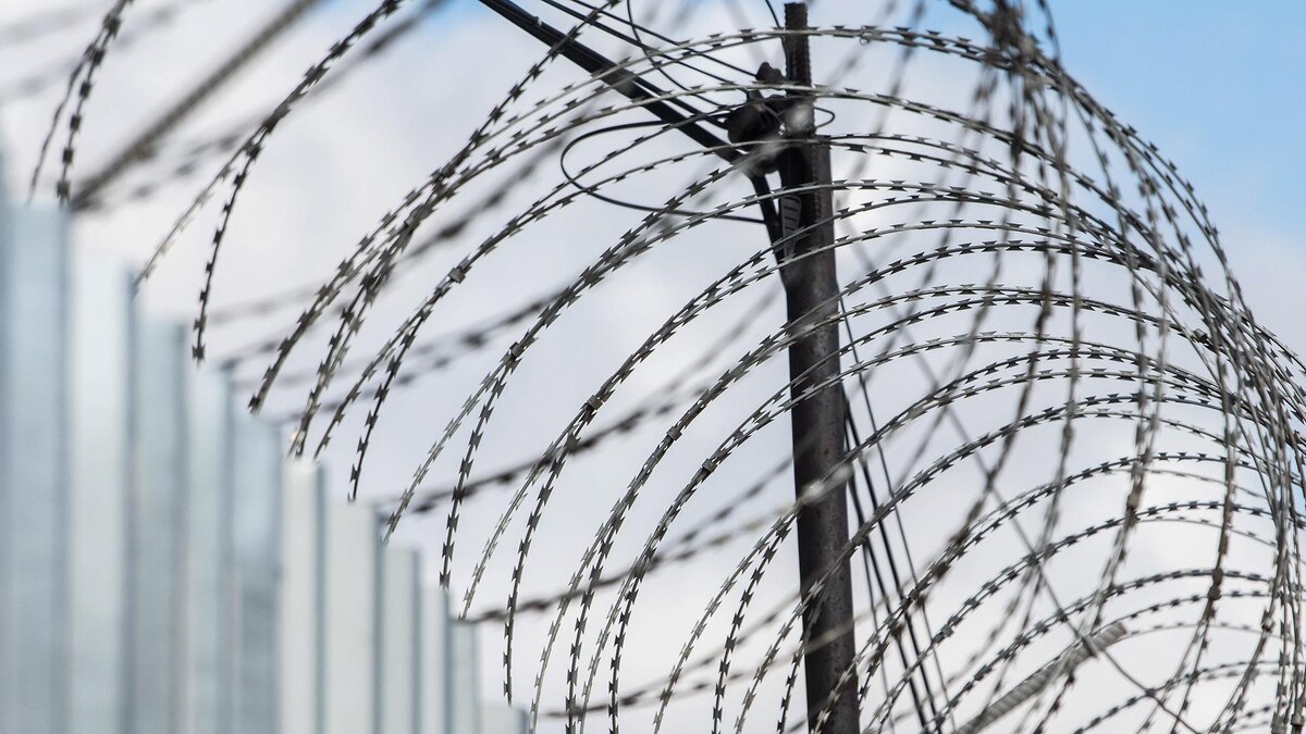    Фото: Ilya Moskovets/globallookpress.com