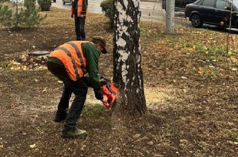    В Республике активизировали работу по спилу аварийных деревьев. Фото: ТГ/Кулемзин