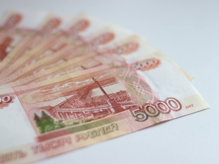     Всего петербуржец получил 220 тысяч рублей. Фото: архив МК в Питере
