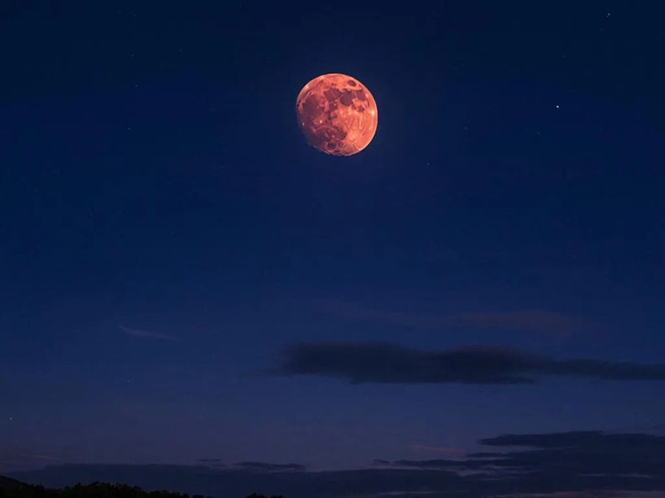     Фото: сгенерировано ИИ.