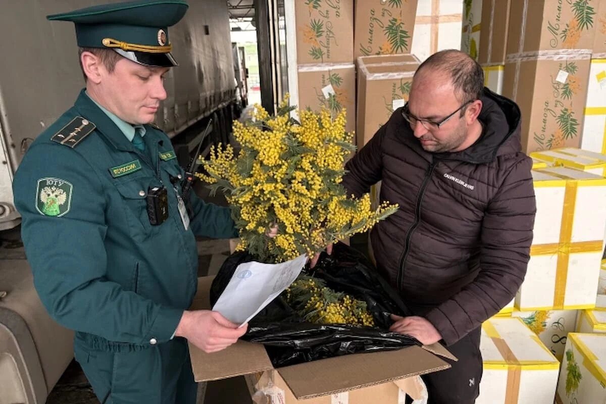    Фото пресс-службы Сочинской таможни