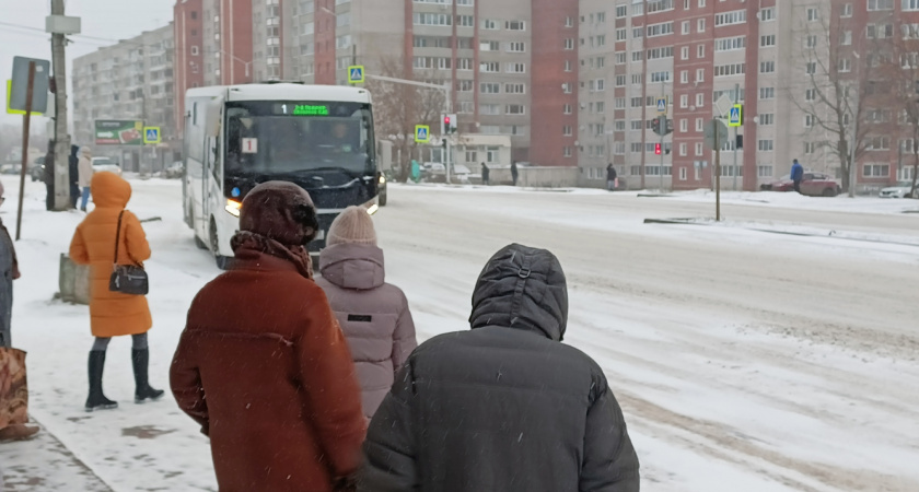    Фото prochepetsk.ru