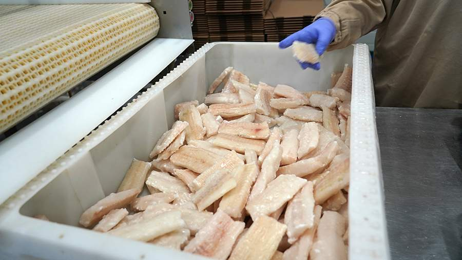 Фото: ИЗВЕСТИЯ/Павел Волков