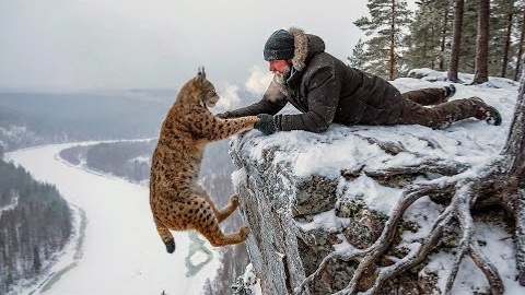 Лесник Иван Петрович спас рысь. А она отблагодарила его когда это было необходимо больше всего