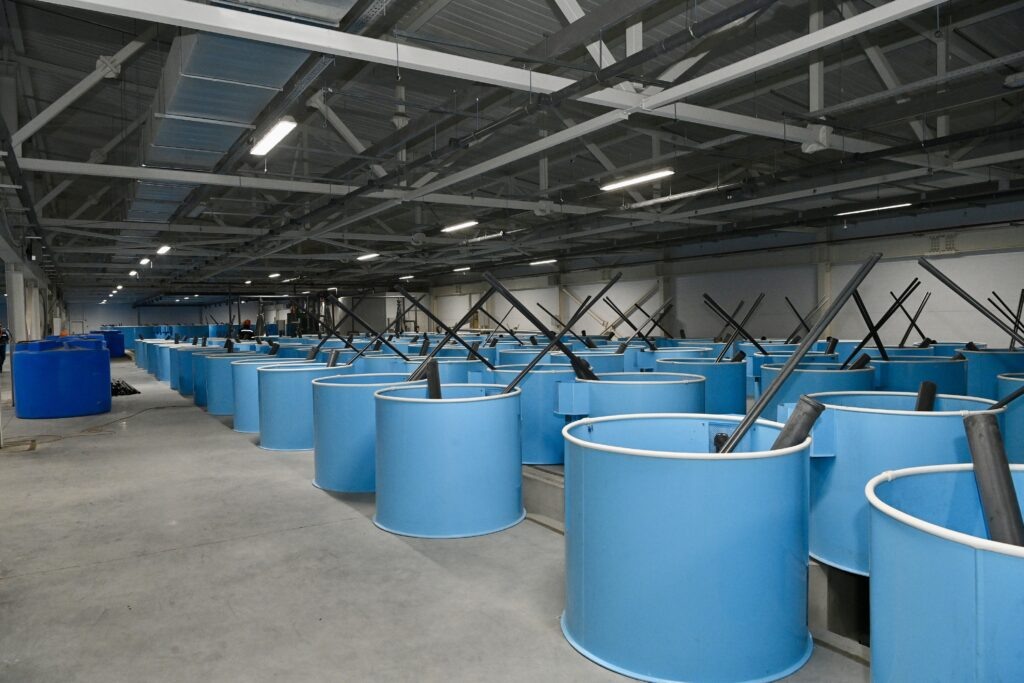    Фото: «Республика» / Оксана Кудряшова