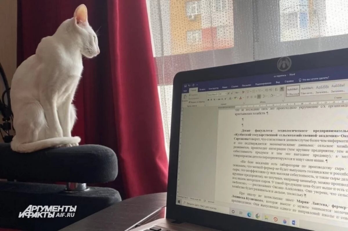    Реабилитолог объяснила, как сидячая работа может привести к бесплодию