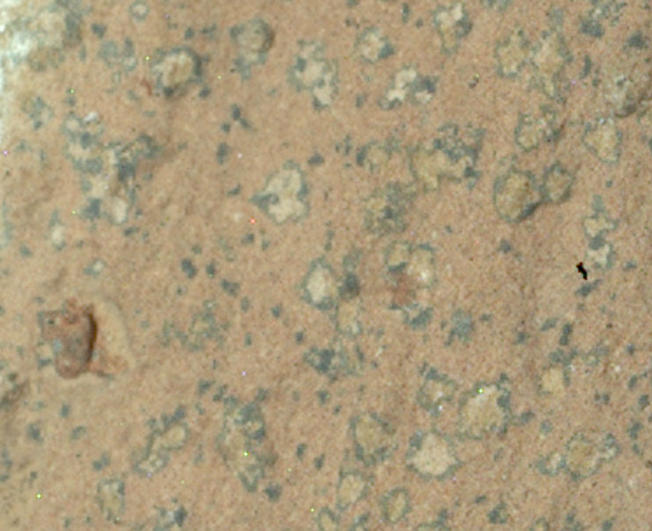 Снимок каменной скалы с потенциальными фоссилиями. (Фото: apod.nasa.gov).