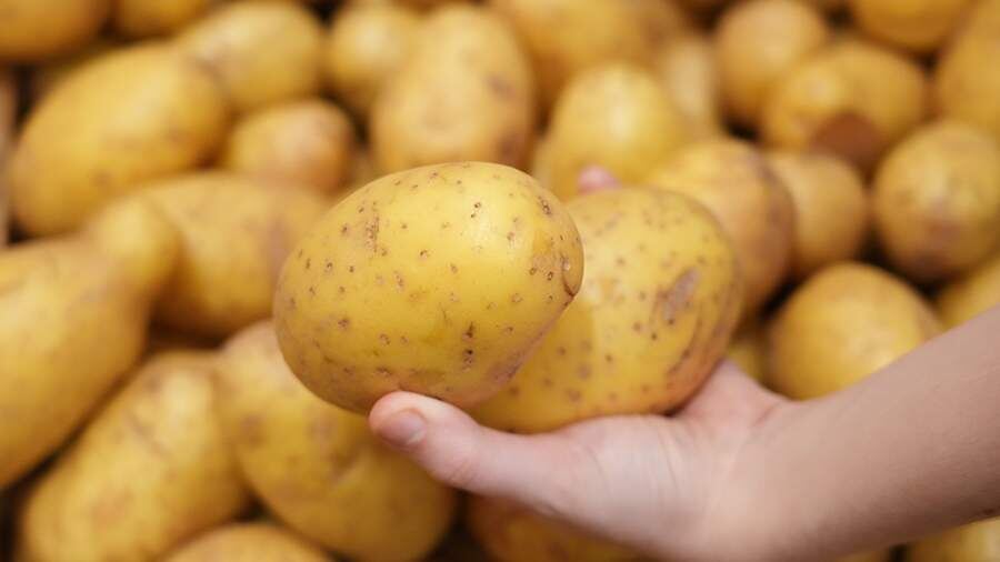    Фото: ИЗВЕСТИЯ/Эдуард Корниенко