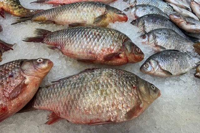    Фото: АиФ/ Ирина Малина