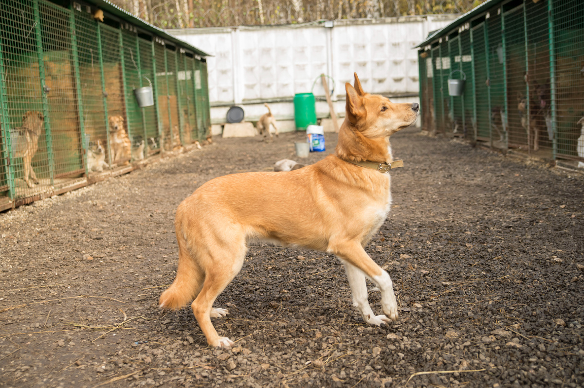 А я всё думаю, чего это все на меня оглядываются?