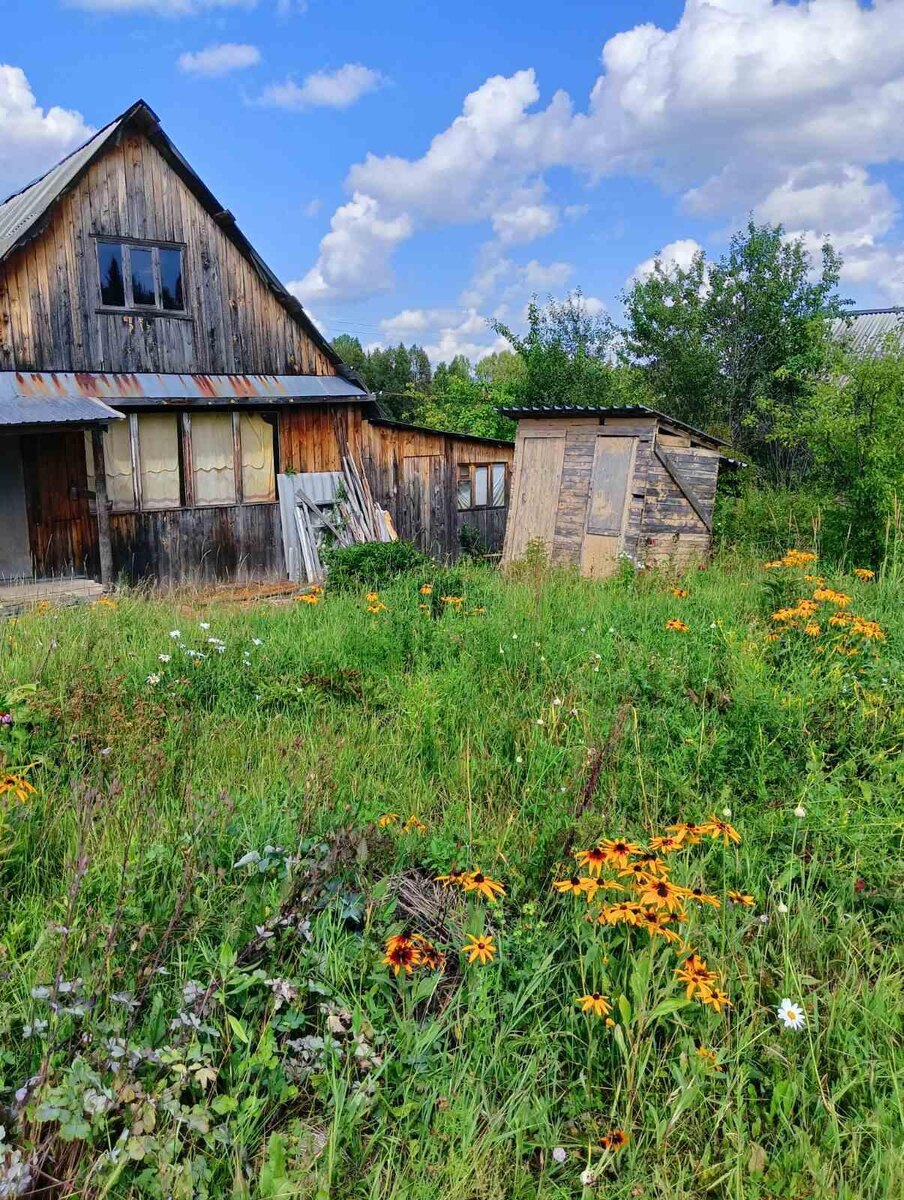 10 июля 2023. День покупки считаем днём рождения нашей дачки