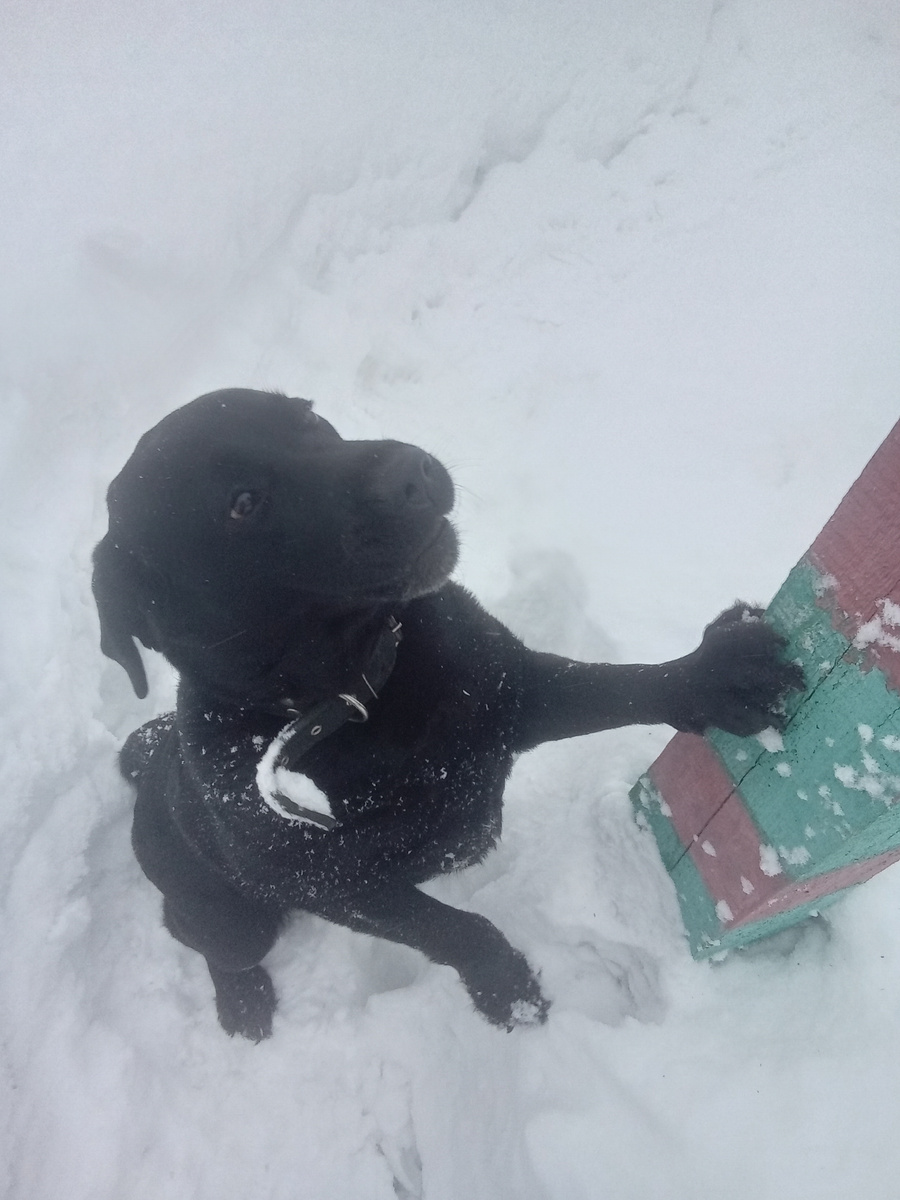 Фото автора. 