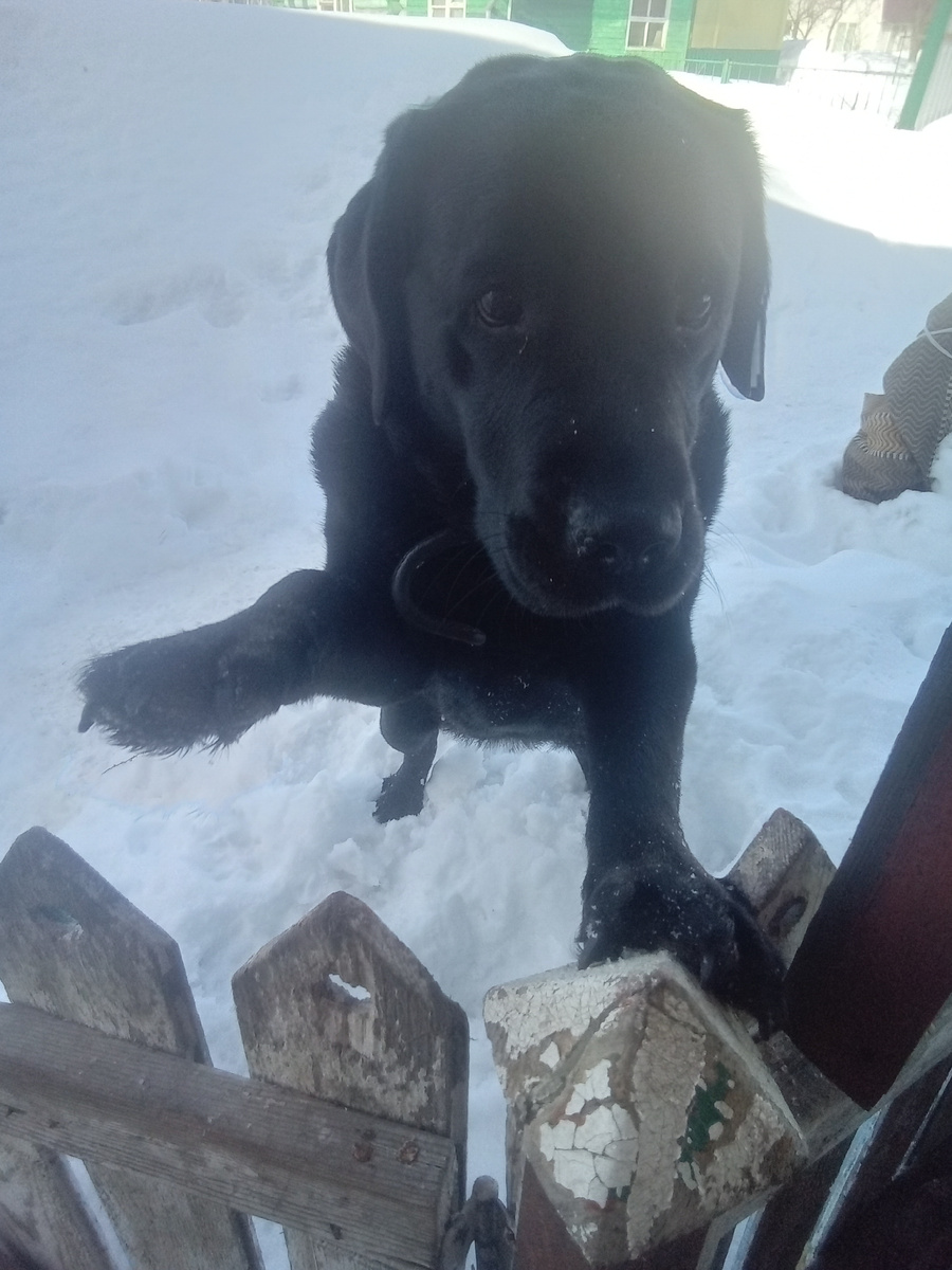 Фото автора. 