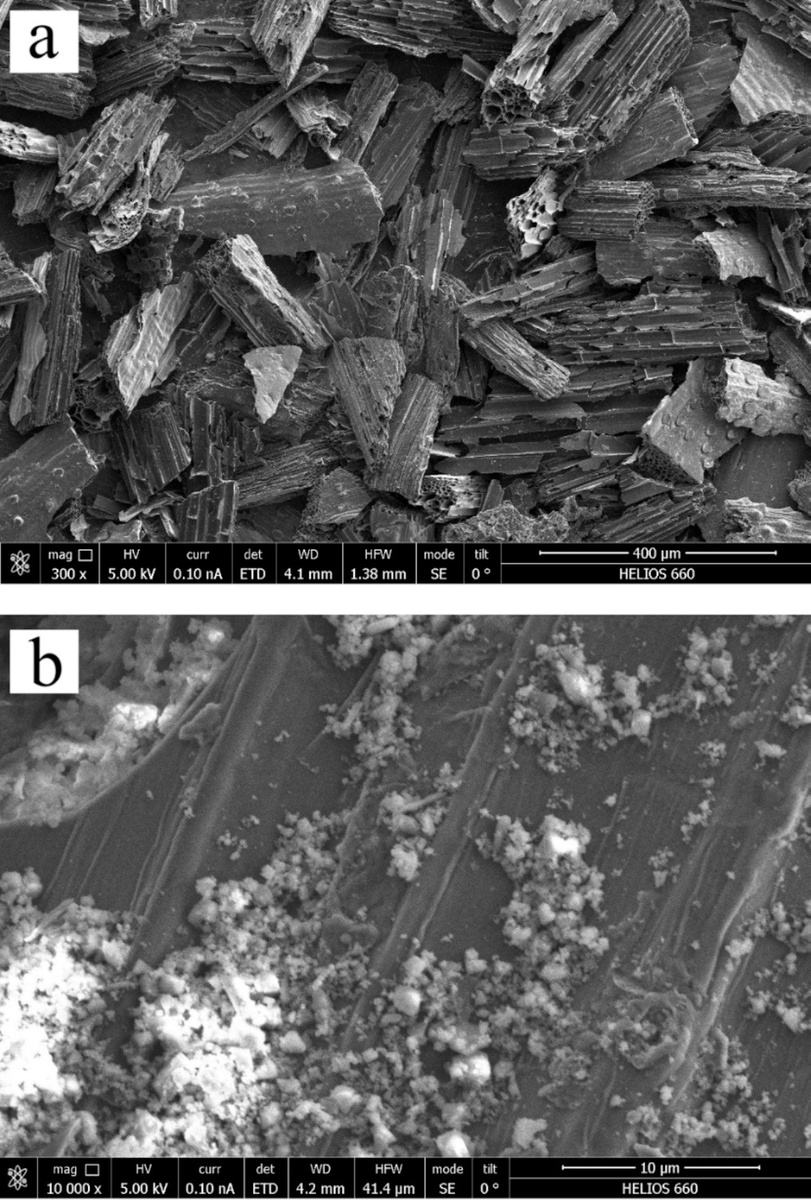 Микрофотографии чистого биоугля и модифицированого. 