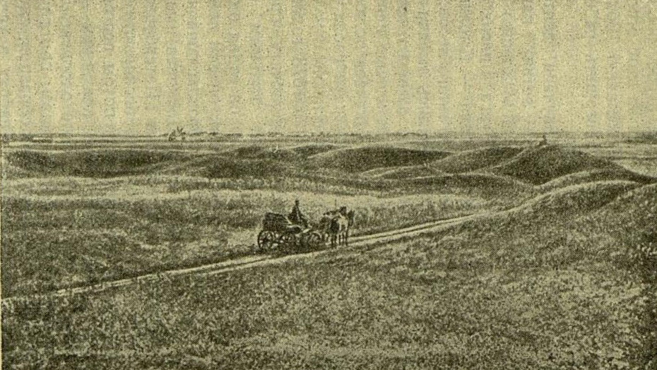 Черноземная степь с курганами. Фото: https://elib.rgo.ru