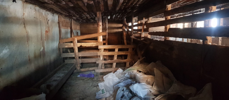    Ирина Меркова / Фактор