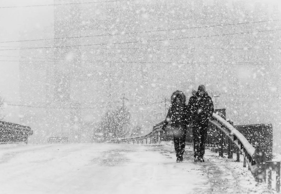 Фото из открытых источников 