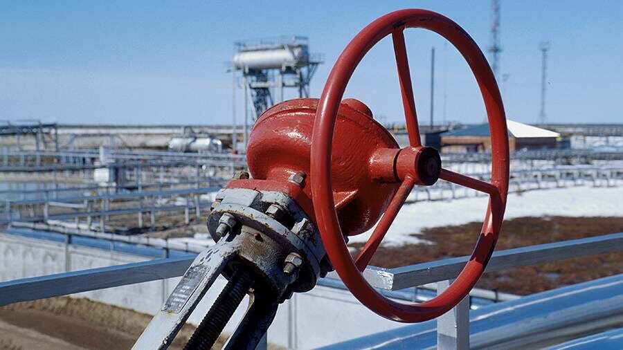    Фото: ТАСС/Михаил Дышлюк