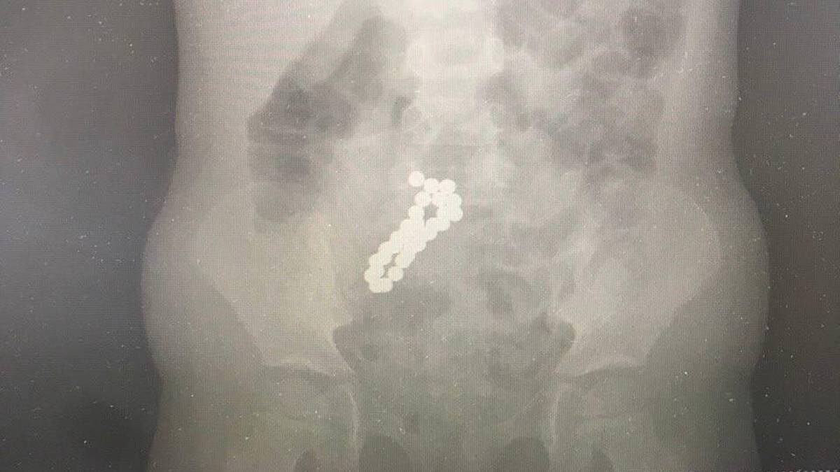    Фото: Пресс-служба Министерства здравоохранения Московской области