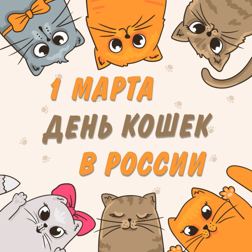 Пушистый праздник: 1 марта — Всероссийский день кошек