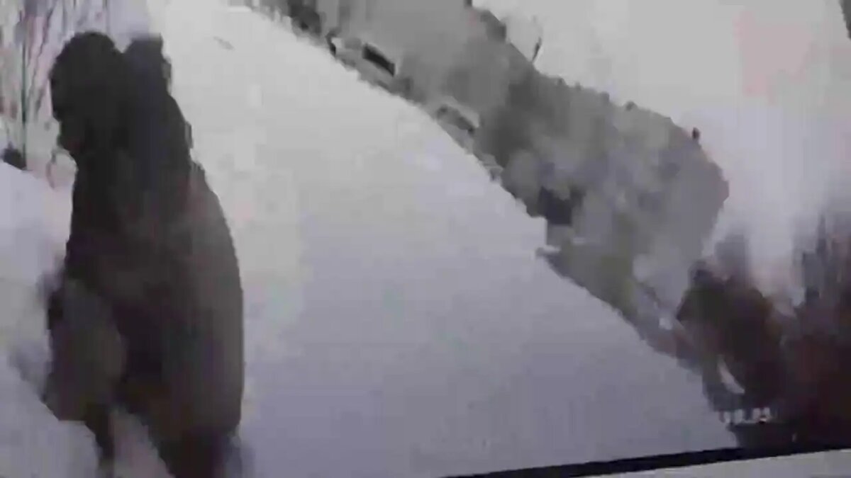    Фото: кадр видео ГУ Росгвардии по Петербургу и Ленобласти