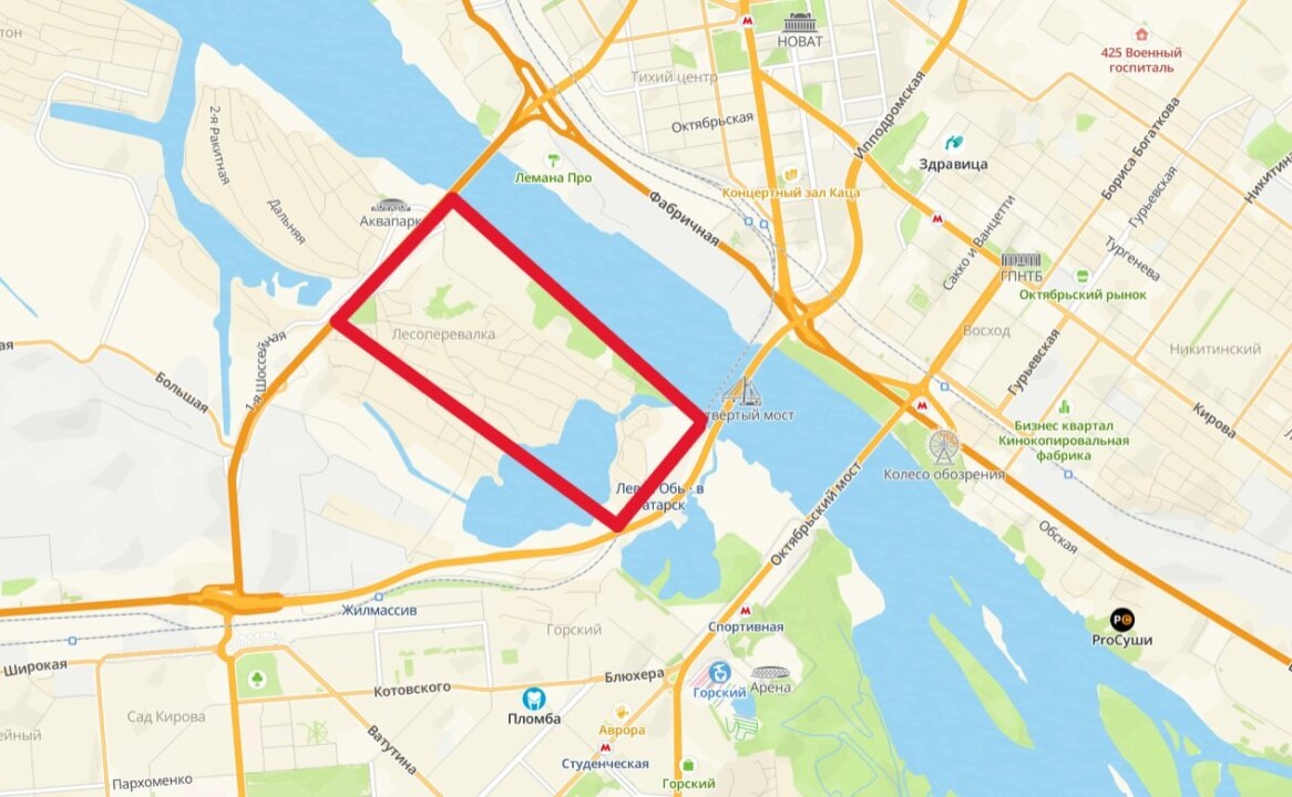    Примерный границы территории. Скриншот карты 2ГИС