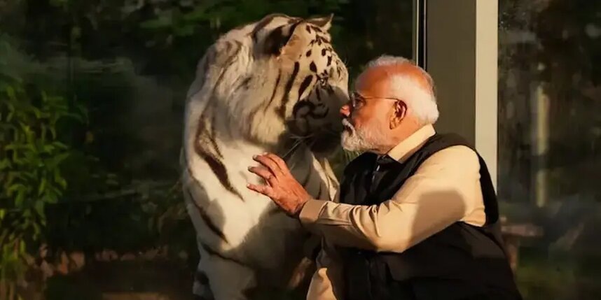    Эпичное фото Моди с тигромсоцсети