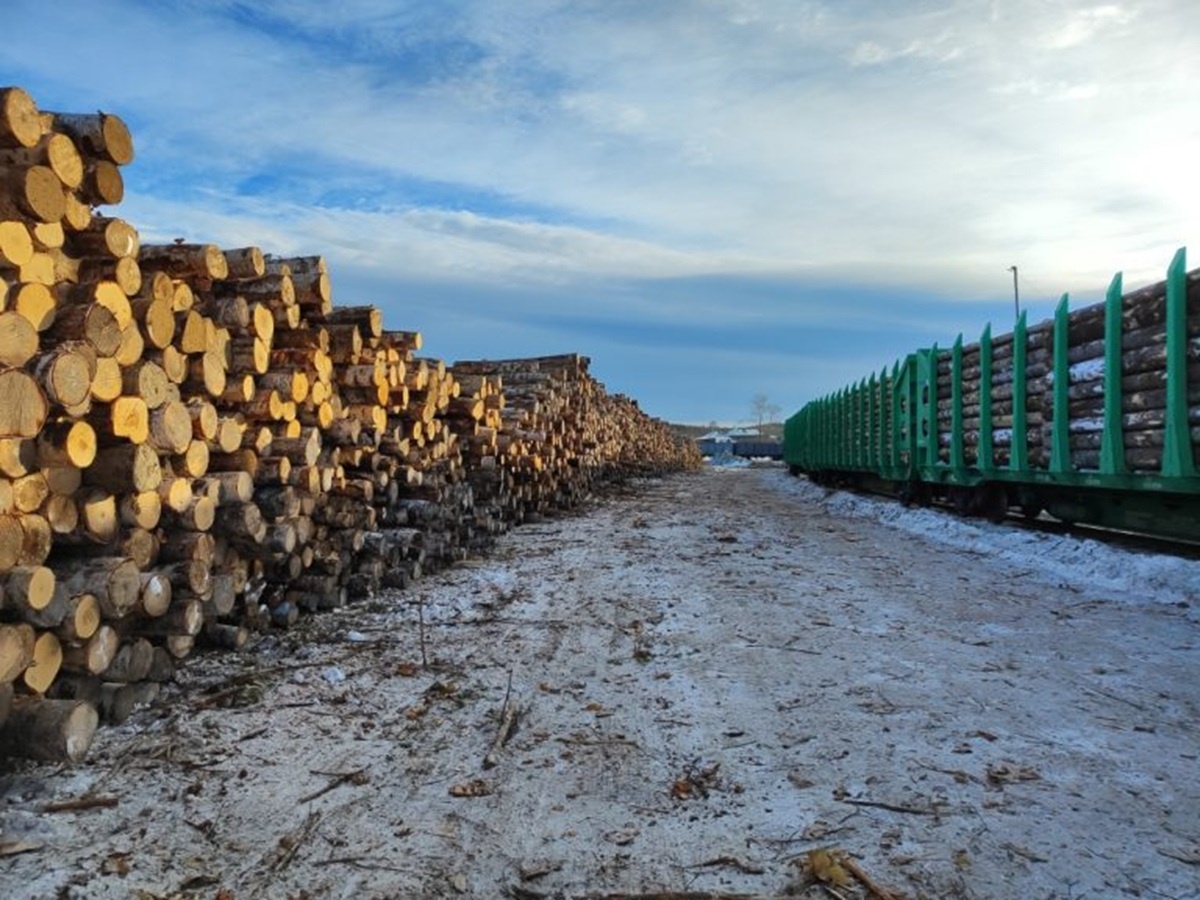 Фото: пресс-служба Уральского межрегионального управления Россельхознадзора  📷
