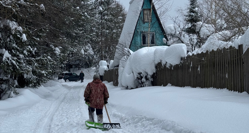    Фото newtambov.ru