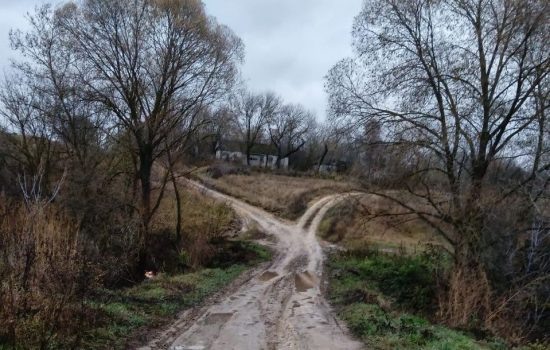    Фото: «Подслушано Ливны»