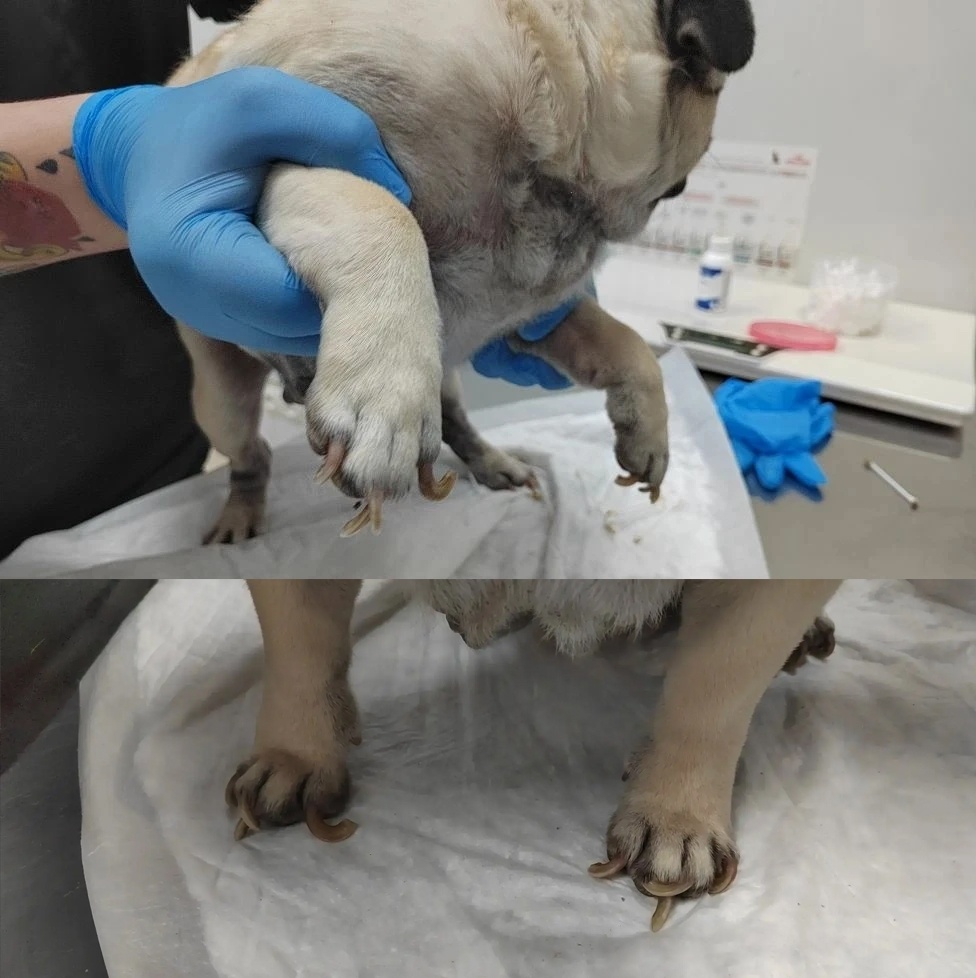 Пожалйста, помогите нам справится с долгами!