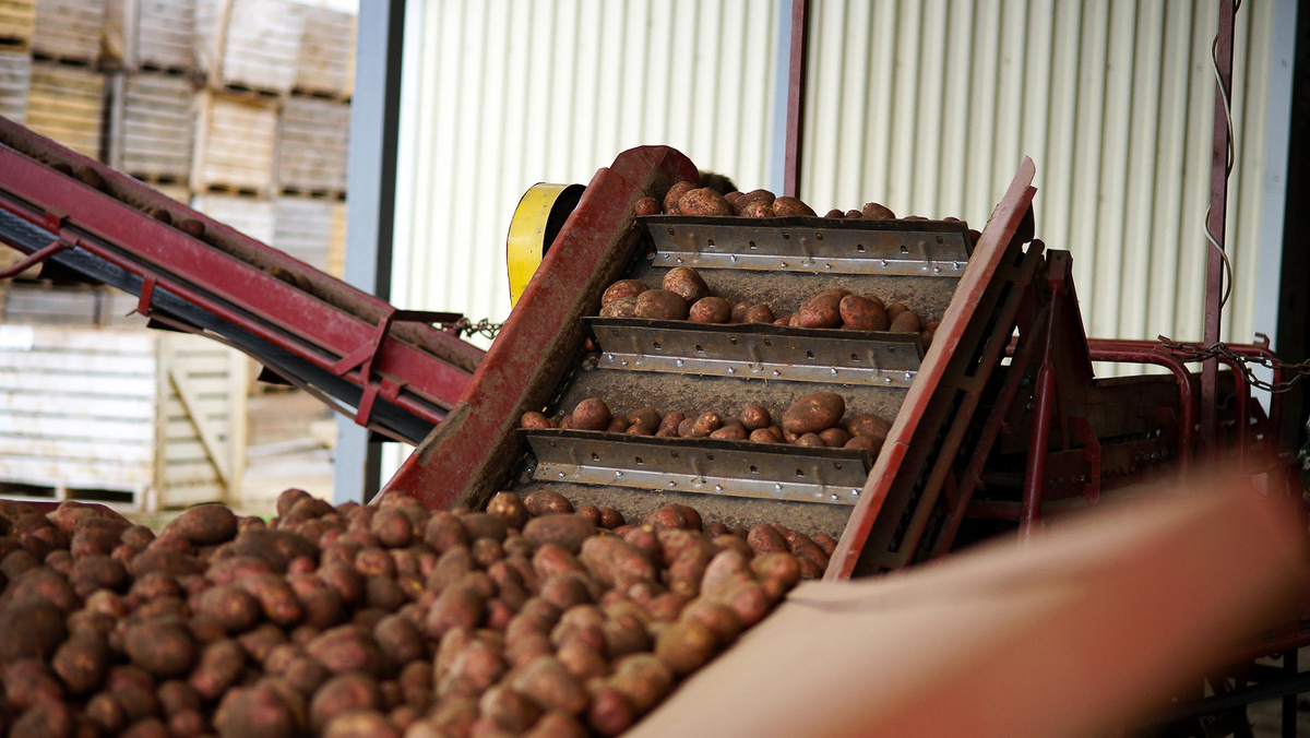 Автор фото: aprilsmile / Shutterstock / FOTODOM