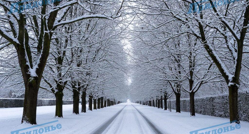    Изображение сгенерировано с помощью нейросети shedevrum.ai Придонье Газета