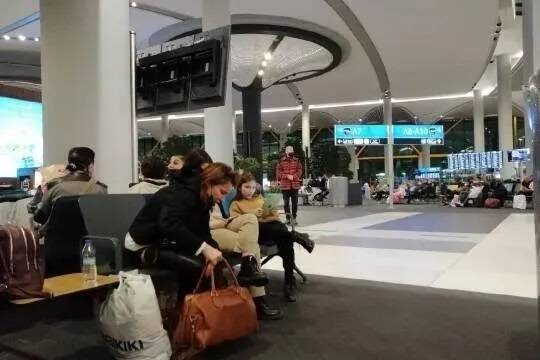    Россиянка с инвалидностью обвинила Turkish Airlines в издевательствах в аэропорту Стамбула