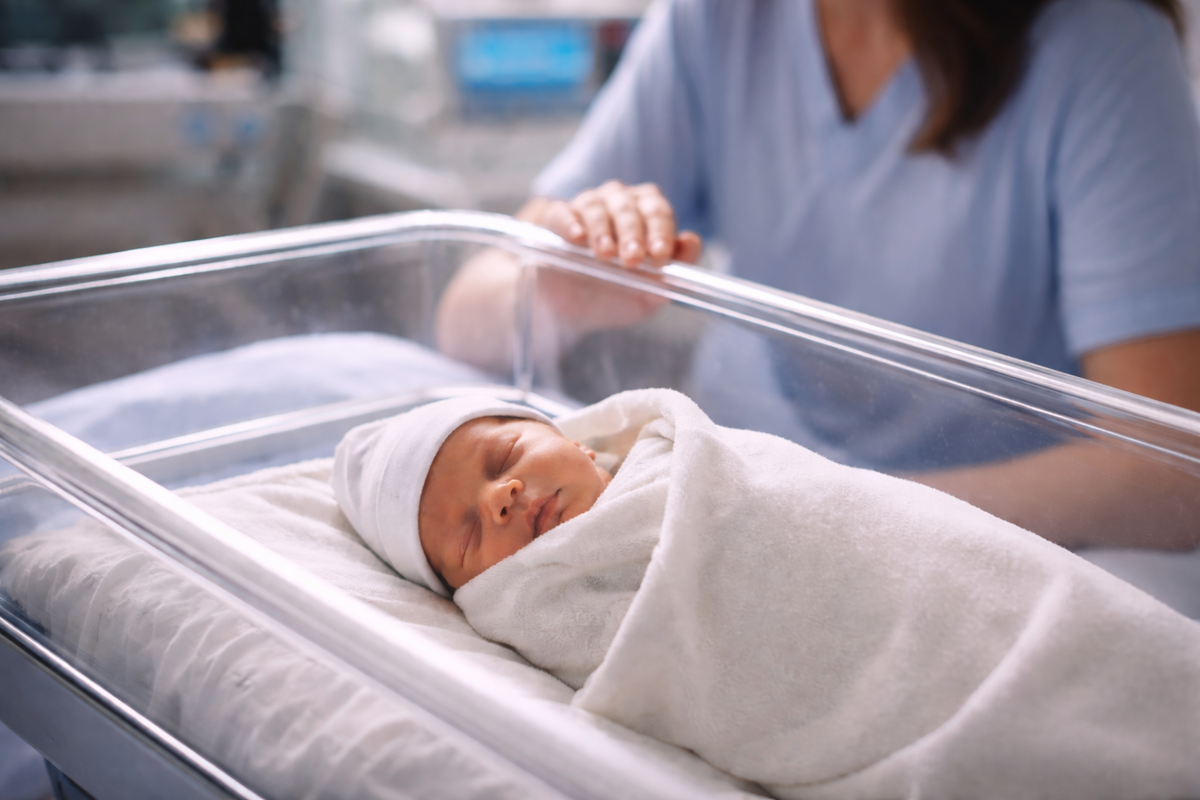 Фото носит информационный характер 