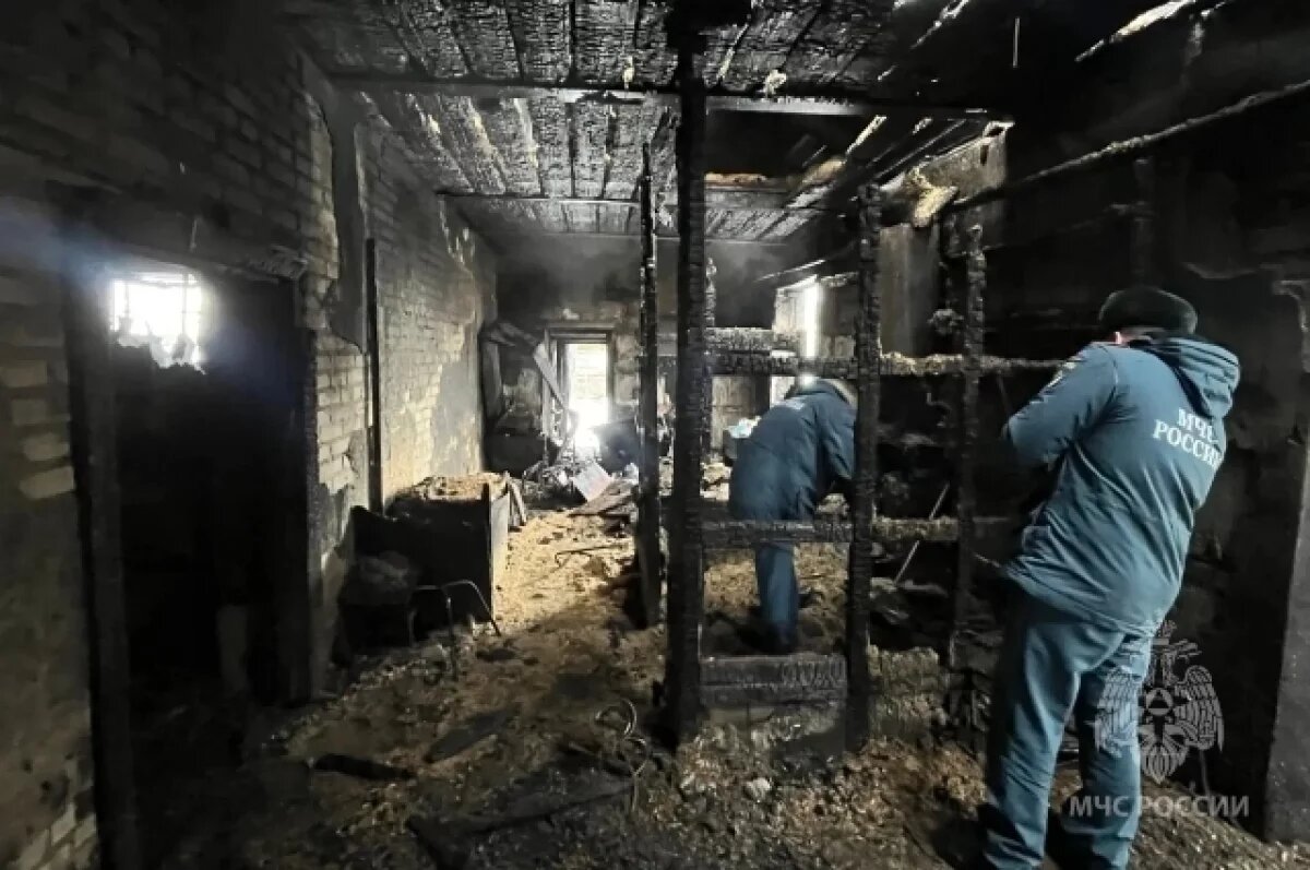    В Индерке Пензенской области сгорел дом, пострадали два человека