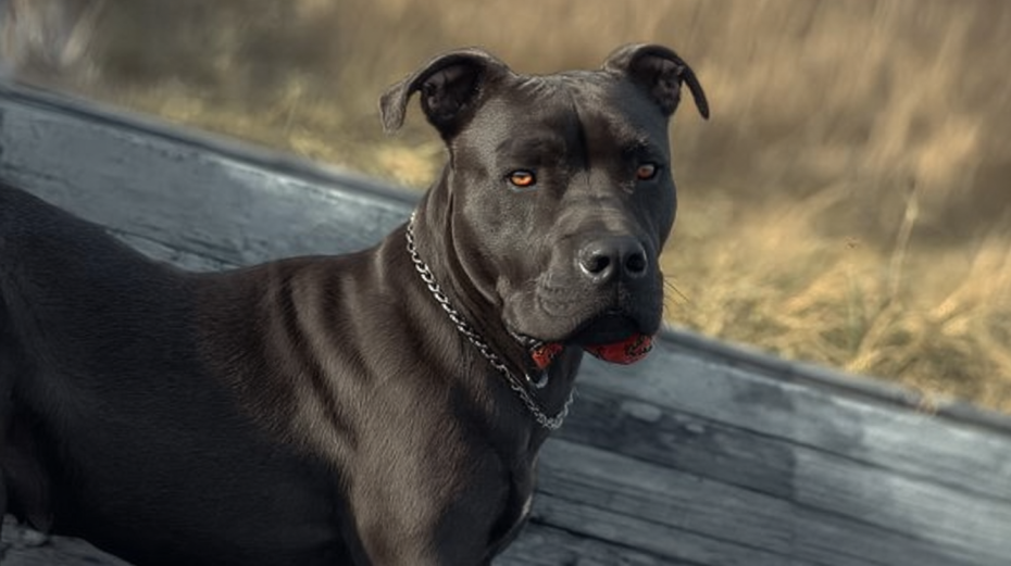    Создано ИИ/NEWS.ru