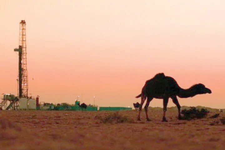 для иллюстрации