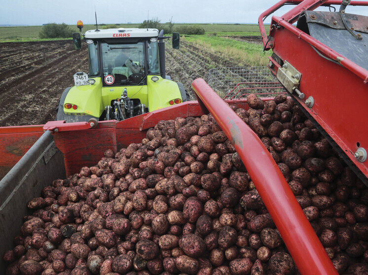  Наталия Губернаторова