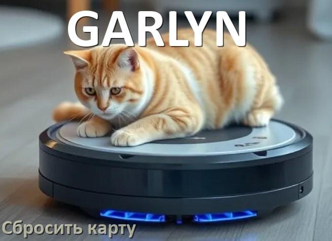 
Как на роботе пылесосе GARLYN сбросить карту помещения