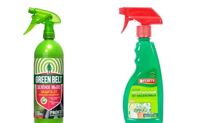    Фото: Лемана ПРО