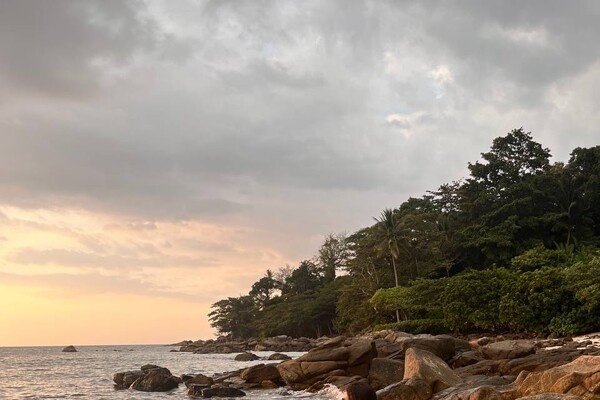 viktoriyaantonova_/Instagram   📷