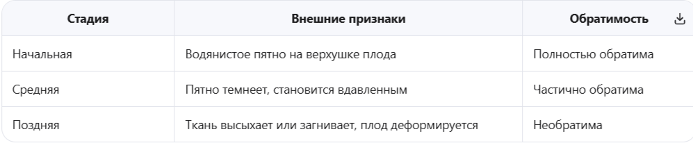 Симптомы вершинной гнили на перце