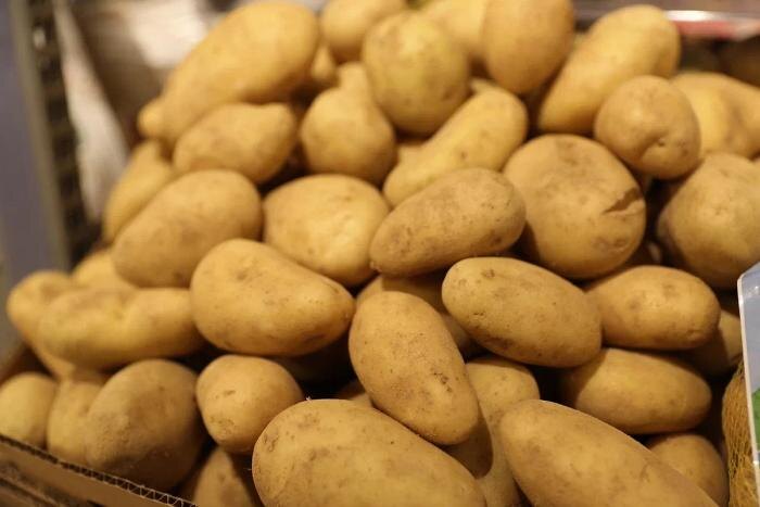 Обложка © Life.ru