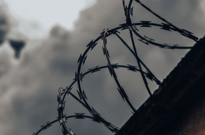    Mateus Andre / ru.freepik.com