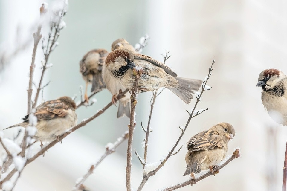    Этот прекрасный кадр сделала организатор акции. Фото: Анна Мостовая