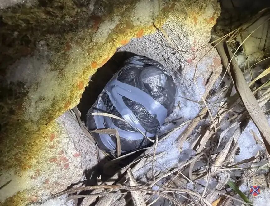    Фото: ГУ МВД России по Волгоградской области