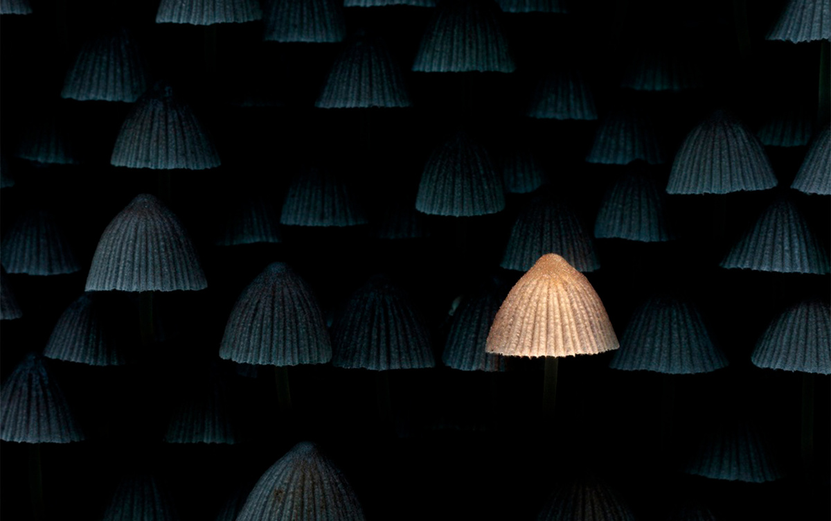    «Нас только двое из России!»: снимок жителя Ижевска прошел в финал международного фотоконкурса